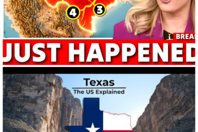 Federal Officials Can’t Hide Their SHOCK at What the Data REVEALED in Texas