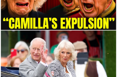 Royal Shockwave: King Charles Strips Queen Camilla of Titles Amidst Explosive Jewelry Theft Scandal!