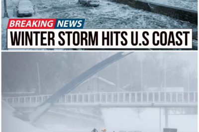 😱 Unrelenting Fury: The West Coast Faces a Relentless Winter Storm – Are We Prepared for the Consequences? 😱 – HTT