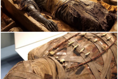 Mummy Wrapped in Mystery: DNA Doesn’t Match Any Known Species