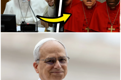 POPE LEO XIV responds to PROGRESSIVE CARDINALS “The CHURCH cannot BETRAY the TRUTH!”