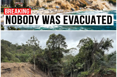 😱 1 MINUTE AGO: Mount Maunganui MASSIVE Landslide Destorys City – “It Happened So Fast” 😱 – HTT
