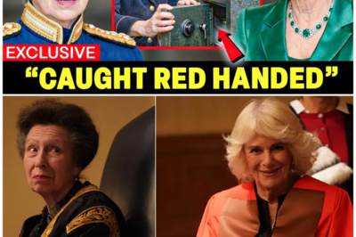 Inside Windsor’s Hidden Safe: How Queen Elizabeth’s Final Letters Exposed Camilla’s Dark Rise to Power