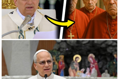 Pope Leo XIV Bans Popular Marian Devotion and Bishops Around the World React in Fury  Reports circulating across Church networks claim Pope Leo XIV has restricted or banned a Marian devotion practiced widely in multiple regions—a move that allegedly triggered sharp backlash from bishops and clergy worldwide. What exactly was limited, why was the devotion targeted, and does this represent doctrinal clarification or disciplinary overreach? As statements and reactions pour in, divisions are emerging over TRADITION, AUTHORITY, and THE LIMITS OF PAPAL POWER. With official explanations still unfolding and emotions running high, the controversy is quickly becoming a defining test of unity within the global Church. 👉 Click the Article Link in the Comments to Explore What’s Being Said—and Why the Reaction Has Been So Intense.