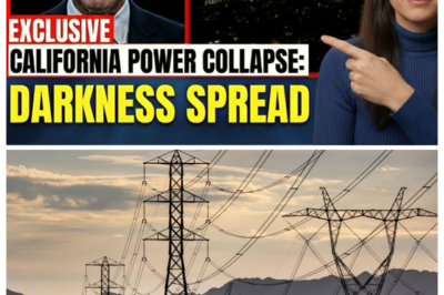CALIFORNIA POWER COLLAPSE Governor PANICS as Rolling Blackouts Hit “No End In Sight”