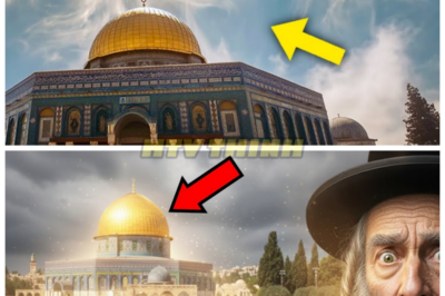 IT IS HAPPENING: The Next Miracle Just Appeared in Jerusalem—The Shocking Event That Will Change Everything 😱 A miracle has just occurred in Jerusalem, and it’s more profound than anything we could have imagined. What has appeared in the Holy City that is being hailed as a divine sign? The details are still unfolding, but what’s happening now is nothing short of extraordinary. The implications of this miraculous event are shaking the foundations of faith itself. Want to uncover the truth behind this miracle? Check the comments for all the jaw-dropping details!👇