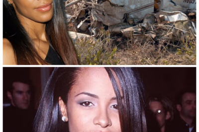 Pilot’s ILLEGAL Flight Kills Music Star Aaliyah!