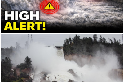 😱 California’s Water Crisis Deepens: Shasta Lake Surges 35 Feet – Are We Ready for the Flood? 😱 – HTT