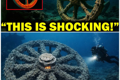 Pharaoh’s Chariot Wheel Found in the Red Sea: A Discovery That Could Change History