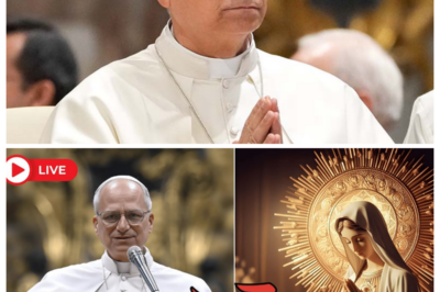 Pope Leo XIV Says the Virgin Mary Was Misunderstood for Centuries—The Vatican Is in Complete Chaos