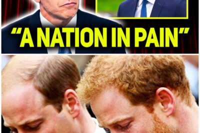 Royal Palace In SHOCK As Family Confirms Heartbreaking News