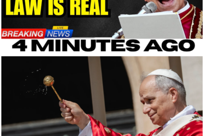 Pope Leo XIV Reveals a Hidden Law of Heaven That the Church Was Forbidden to Preach