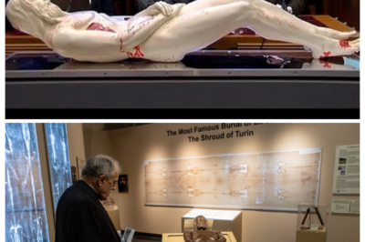 Shroud of Turin Used to Create 3D Copy of Jesus