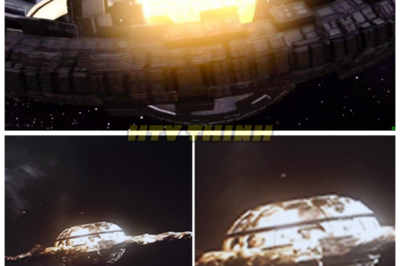 Voyager 2 Turns Back and Makes a Shocking Discovery—What It Found Has Just WARNED THE WORLD 😱 In a stunning twist, Voyager 2 has reversed course, and what it discovered in the vastness of space has sent shockwaves through the scientific community. What could this interstellar probe have uncovered that is now being called a warning to humanity? The implications of this discovery are more terrifying than anyone could have anticipated. Want to know what Voyager 2 found? Check the comments for all the chilling details!👇