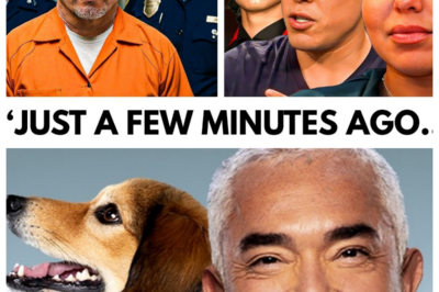 Cesar Millan’s Final Sentencing. Goodbye Forever!