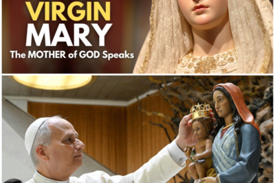 Why Does Mary Keep Showing Up? Because Apparently, One Visit Isn’t Enough