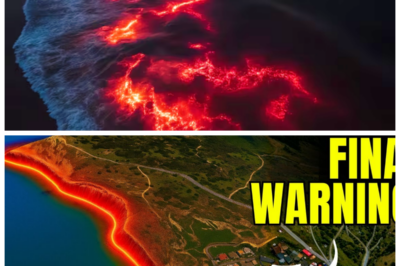 “California’s Coastal Mystery: Uplift Leaves Scientists Terrified! 🔍”  “Just when you thought you knew the terrain!” In an unexpected twist that has left scientists reeling, the California coastline has lifted, sending alarm bells ringing throughout the geological community! As researchers race to uncover the reasons behind this unsettling phenomenon, one expert quipped, “It’s like the earth decided to give us a wake-up call!” With fears of seismic consequences looming, the question remains: what else is brewing beneath the surface? The tension is thick, and the stakes have never been higher! 👇