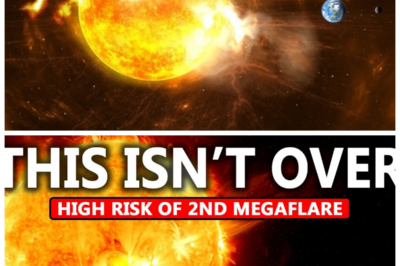 “Brace for IMPACT: A MONSTROUS Solar Flare Could HIT Earth Soon! 🌌😨 ‘What happens when the lights go out for good?’ 💡”  Opening Paragraph: Get ready, Earthlings! Astronomers are sounding the alarm about a monstrous solar flare that could be headed our way, and the implications are terrifying! “What happens when the lights go out for good?” one scientist warns, as they outline the potential fallout from such a cataclysmic event. With technology at our fingertips and society heavily reliant on electricity, a massive solar eruption could wreak havoc on our daily lives, leaving us in darkness and despair. As the sun unleashes its fury, the question remains: can humanity withstand the storm, or are we on the brink of an unprecedented crisis? The countdown to chaos has begun! 👇