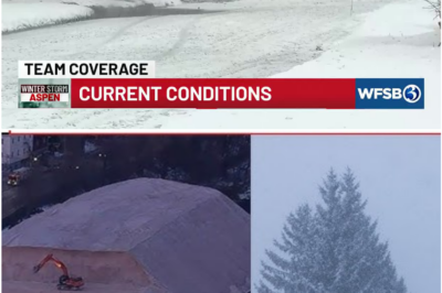 America in the Ice: A Relentless Arctic Blast Pushes Millions to the Brink as Power Fails and Temperatures Plunge