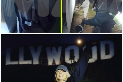 😱 Sydney Sweeney’s Bra-Covered Hollywood Sign Stunt: A Bold Promotion or Legal Nightmare? 😱 – HTT