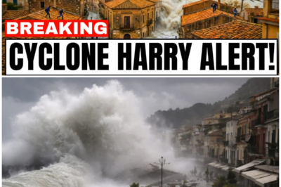 😱 Cyclone Harry DEVASTATES Sicily – 1,000+ Rescue Operations as Entire Coastline DISAPPEARS! 😱 – HTT