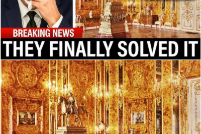 Lost for Decades, the Amber Room Mystery Finally Solved: Hidden Nazi Treasure Unearthed