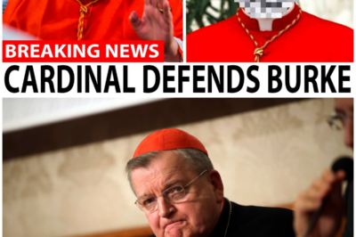 Public Defense of Cardinal Burke in Shocking Vatican Showdown