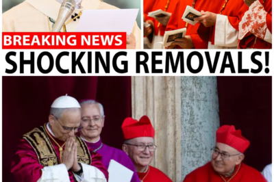 Pope Leo XIV’s Ruthless Purge: Six Cardinals on the Brink of Removal in a Battle for the Church’s Soul!