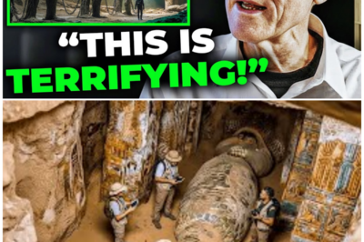 Göbekli Tepe’s Secret Cave Unveiled: Inside the 12,000-Year-Old Chamber Where ‘Non-Human’ Skulls Were Sealed Away Forever