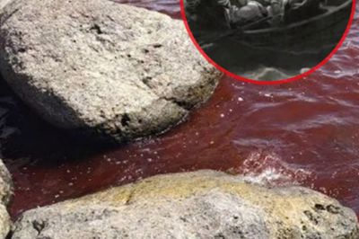The Sea of Galilee Turned Red—and the World Immediately Took Notice 🌊🔴