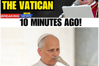 Pope Leo XIV Read a Prophecy From the Desert—And the Church Fell Into Chaos Overnight