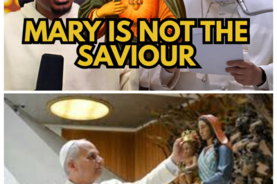 Mary is NOT Co-Redemptrix! Pope Leo and The Vatican Just Drew a Line