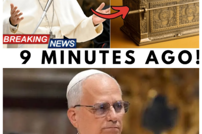 Pope Leo XIV Declares That a Recently Found Artifact Could Be Linked to the Ark of the Covenant