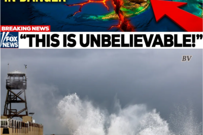 Florida’s Coast Is Giving Way Faster Than Predicted—and Scientists Are Alarmed 🚨🌊