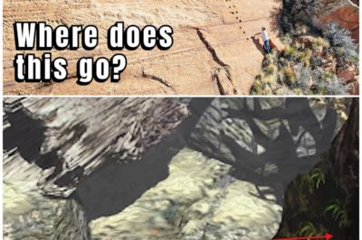 From Cliffs to Culture: The Ancient Pathway That Revealed Hidden History