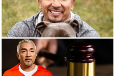 What happened to Cesar Millan from Dog Whisperer? Is He Going to Jail?