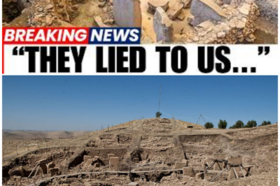 Göbekli Tepe’s Hidden Geometry: The 12,000-Year-Old Blueprint That Shatters Civilization’s Origins!