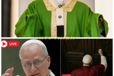 🔥 Pope Leo XIV SLAMS His Fist Against the Locked Door — What Happened Behind the Vatican Walls Will Shock You! 🔥 Locked in a room by the Cardinals, Pope Leo XIV’s fist slammed against the door with such force that it shook the very foundation of the Vatican. Was this an act of defiance or desperation? The secrets of what transpired in that tense moment are now coming to light, and the shocking revelations will leave you questioning everything you thought you knew about the pope. 👇