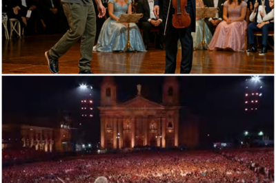 IMMIGRANT STORMS ANDRÉ RIEU’S STAGE… HE FALLS TO HIS KNEES AND CROWD UNDERSTANDS NOTHING