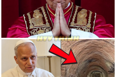Pope Leo XIV Reveals the Discovery of a Hidden Chamber Beneath St. Peter’s Basilica—What’s Inside Will Shock You 🔥 In a groundbreaking announcement, Pope Leo XIV has confirmed the discovery of a hidden chamber beneath St. Peter’s Basilica, and the contents have left historians and theologians stunned. What could be so important that the Vatican has kept it a secret for centuries? The mystery behind this chamber could reveal secrets that shake the foundation of the Church. Want to uncover the truth? Check the comments for all the explosive details!👇