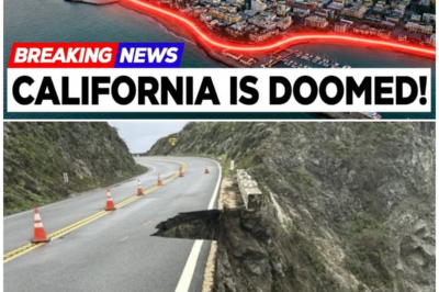 One Minute to Disaster: How California’s Coastline Collapsed Overnight in a Catastrophe Scientists Warn Was Inevitable