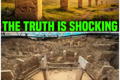 Göbekli Tepe’s Astonishing Secrets: What Archaeologists Discovered That Changes Everything!