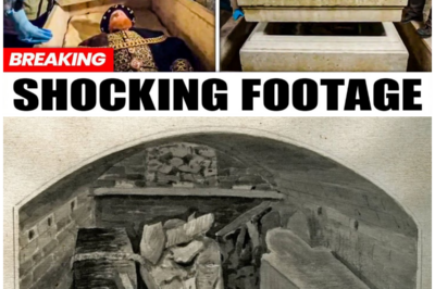 Archaeologists Just Opened King Henry VIII’s Sealed Tomb — What They Found Is Unbelievable