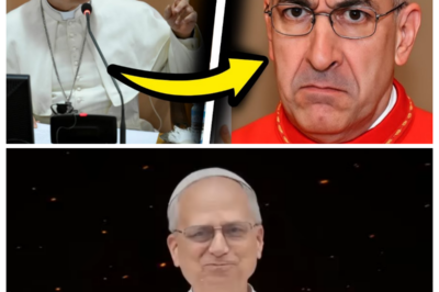 Pope Leo XIV Expels Influential Bishops—The Vatican Faces Its Most Divisive Crisis in Years