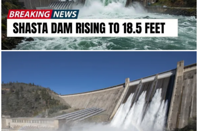 😱 The Floodgates of Change: Shasta Dam’s Uplift Proposal Raises Alarming Questions for California! 😱 – HTT