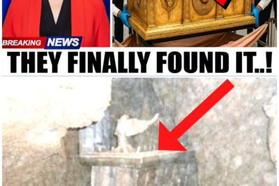 Archaeologists Stunned as Golden Ark of the Covenant Emerges – But What Happens Next Will Terrify You!