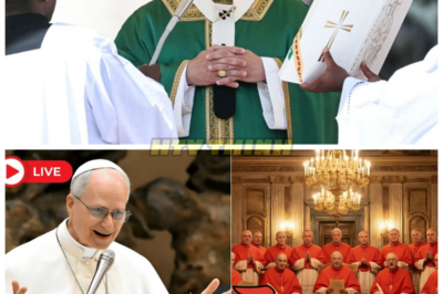 🔥 What Pope Leo XIV Told the Cardinals Stunned the Vatican — The Shocking Revelation That Will Rock the Church! 🔥 In a moment of raw power, Pope Leo XIV revealed something so unthinkable in front of the Cardinals that the entire Vatican was left in disbelief. What secret truth did he unveil that will forever alter the way we view the church? This revelation has the potential to change the course of history. Get ready for the shocking truth to unfold. 👇