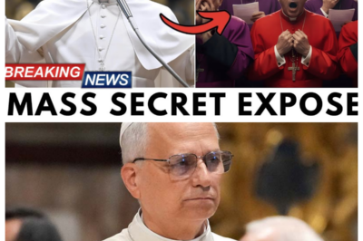 What Pope Leo XIV Did At The End Of His Audience No One Will Ever Forget