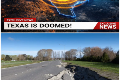 😱 From Phantom Islands to Dead Zones: Texas’s Coastal Drama Unfolds! 😱 – HTT