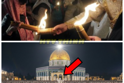 TODAY: Thousands Witness the Final Miracle Begin in Jerusalem—The Truth Will Leave You Speechless 😱 In an awe-inspiring moment witnessed by thousands, the final miracle has begun in Jerusalem, and the world is holding its breath. What event unfolded today that many are calling a divine sign of what’s to come? The miraculous occurrence could change the course of history, and believers are already calling it the beginning of something far greater. Want to uncover the truth behind this momentous event? Check the comments for all the jaw-dropping details!👇